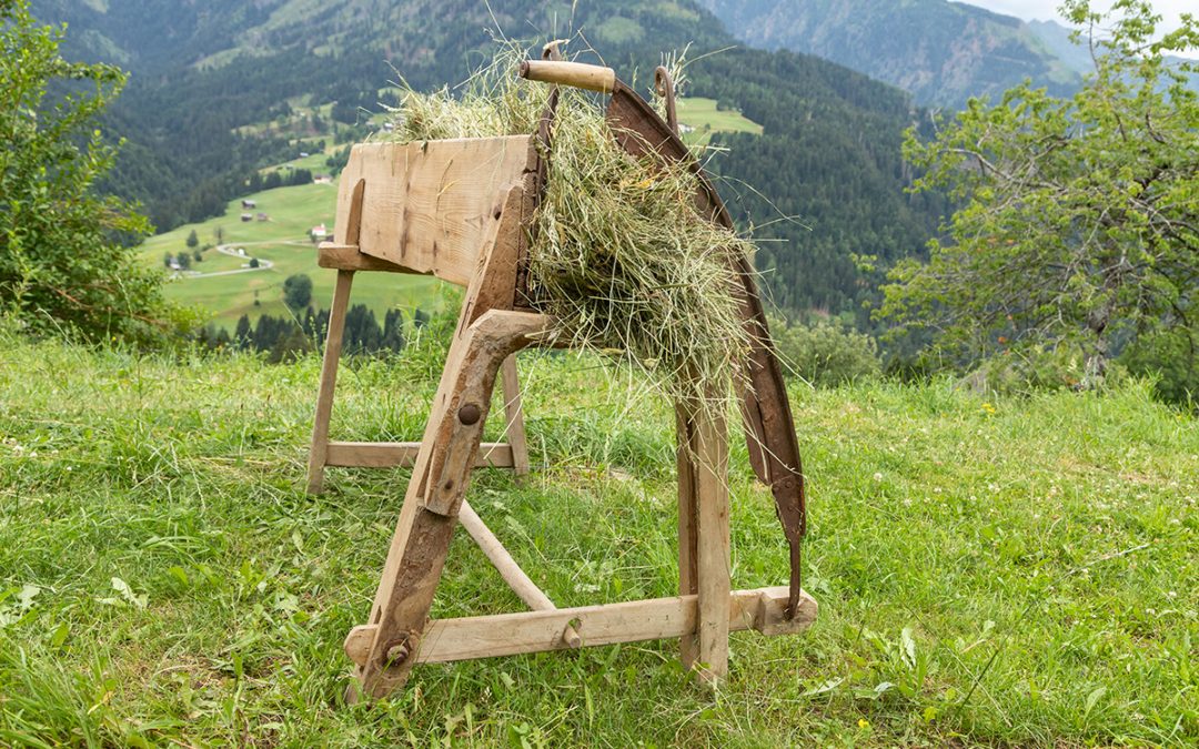Der Heuschneidetisch
